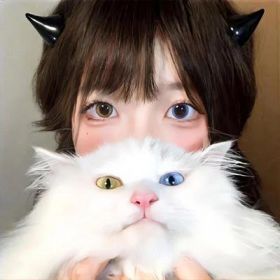 犬夜叉：红莲之蓬莱岛